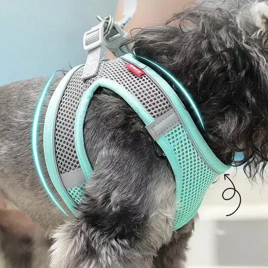 Puppy Harness Set Dog Accessories