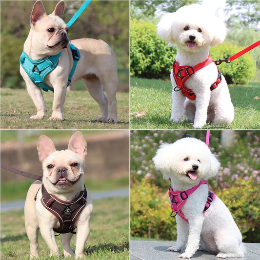 Harness and Leash Set Pet Accessories Dog