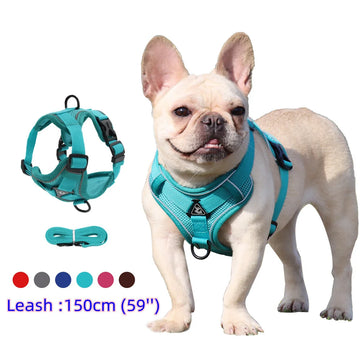 Harness and Leash Set Pet Accessories Dog